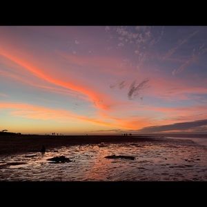 Meet your Posher, Ava